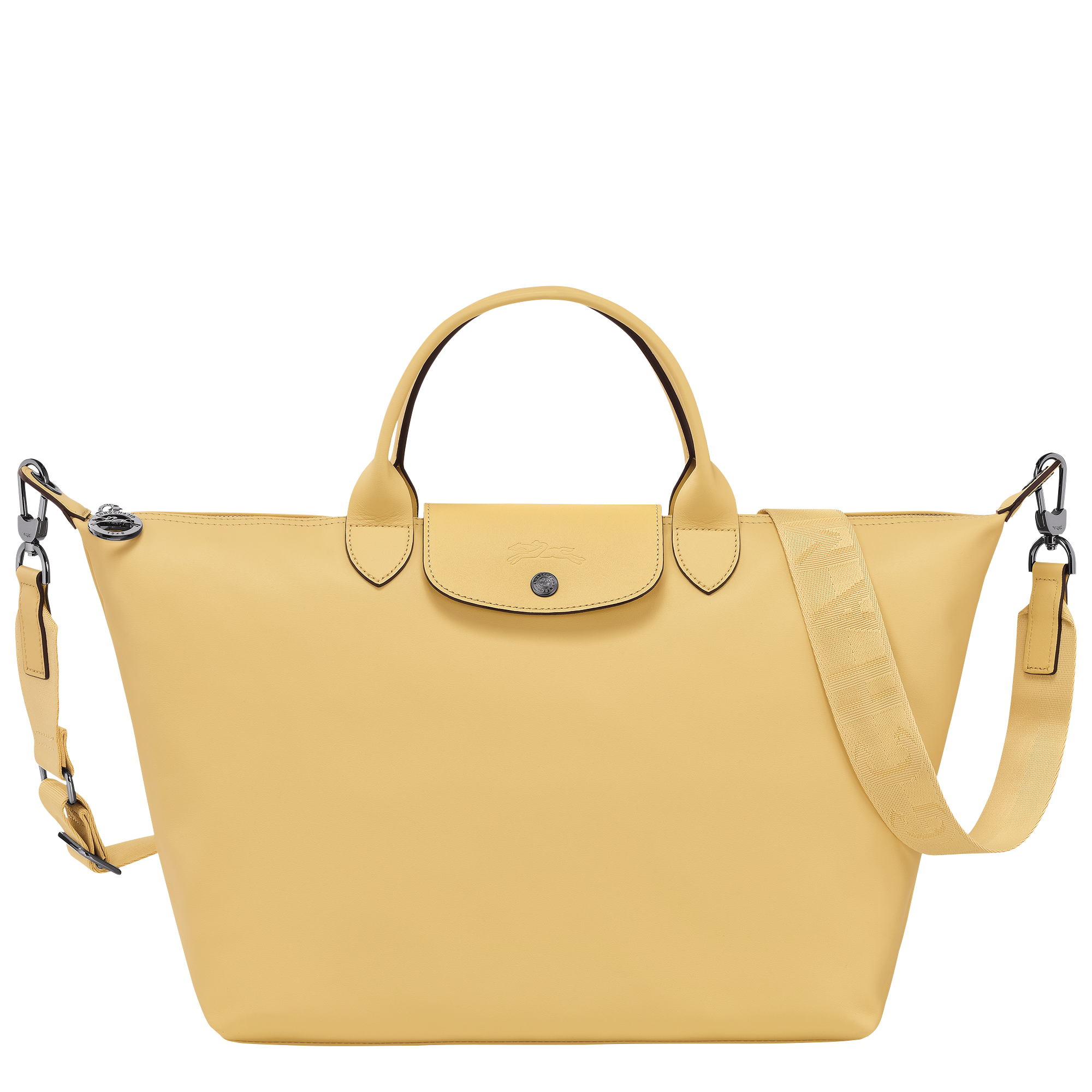 Le Pliage Xtra L Handbag Turtledove - Leather (10201987P55