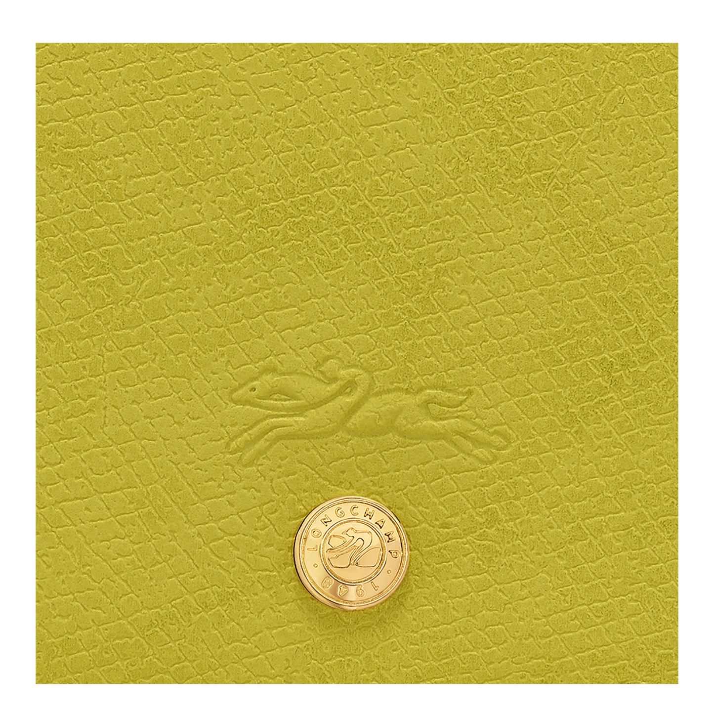 LONGCHAMP-Épure S Crossbody bag-Kiwi Green-10253HYZ036-6