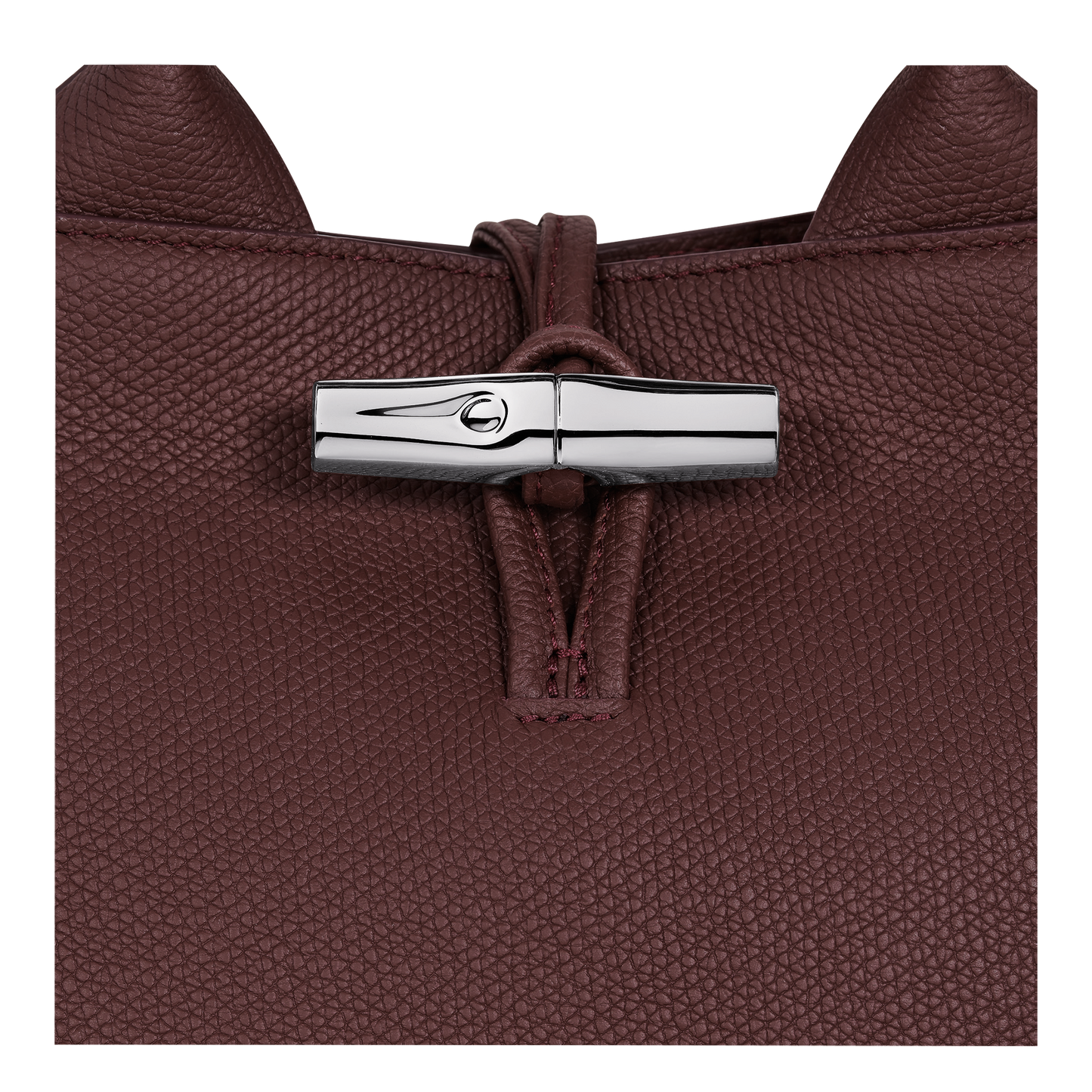 Le Roseau S Handbag