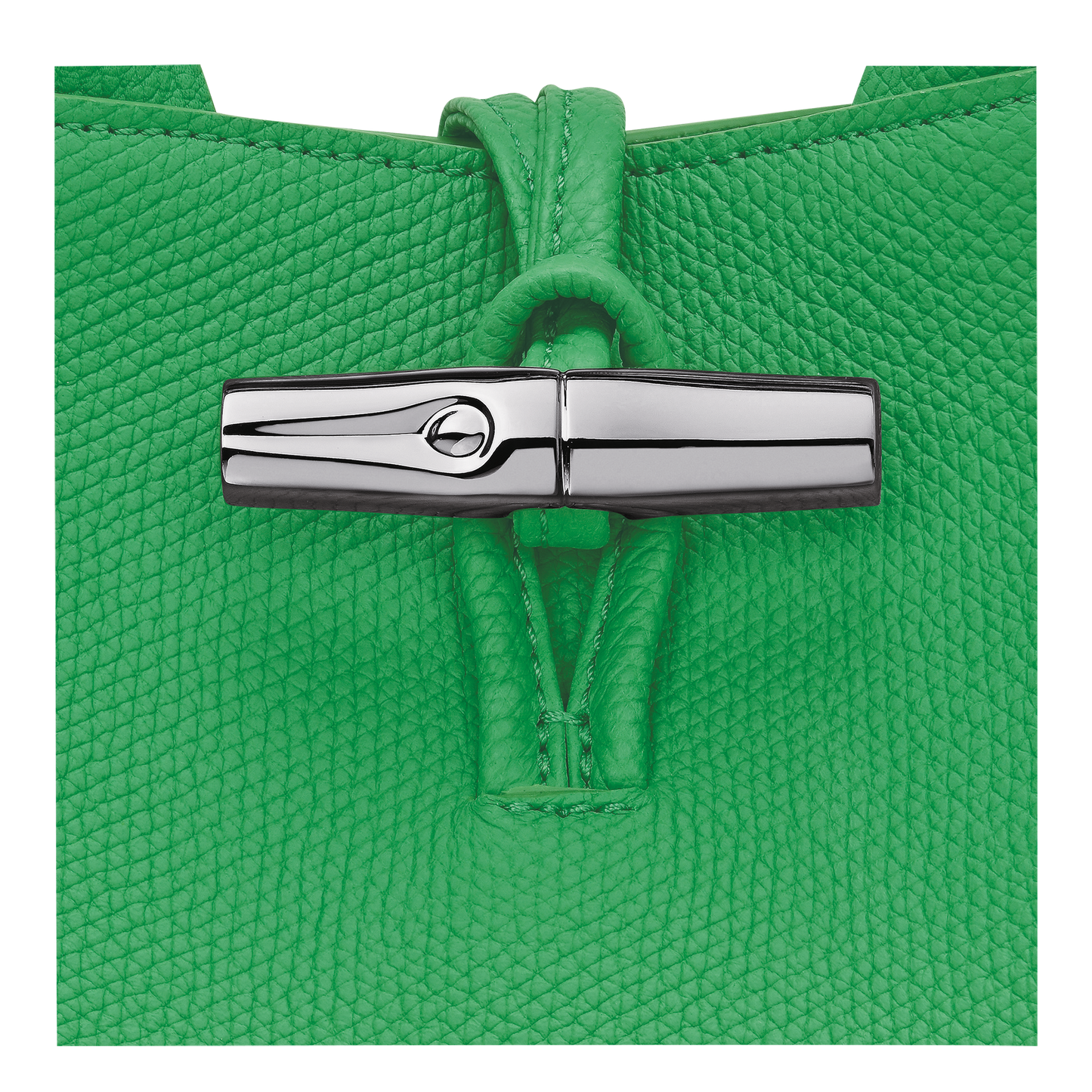 LONGCHAMP-Le Roseau S Handbag-Spring Green-10273HFP344-6