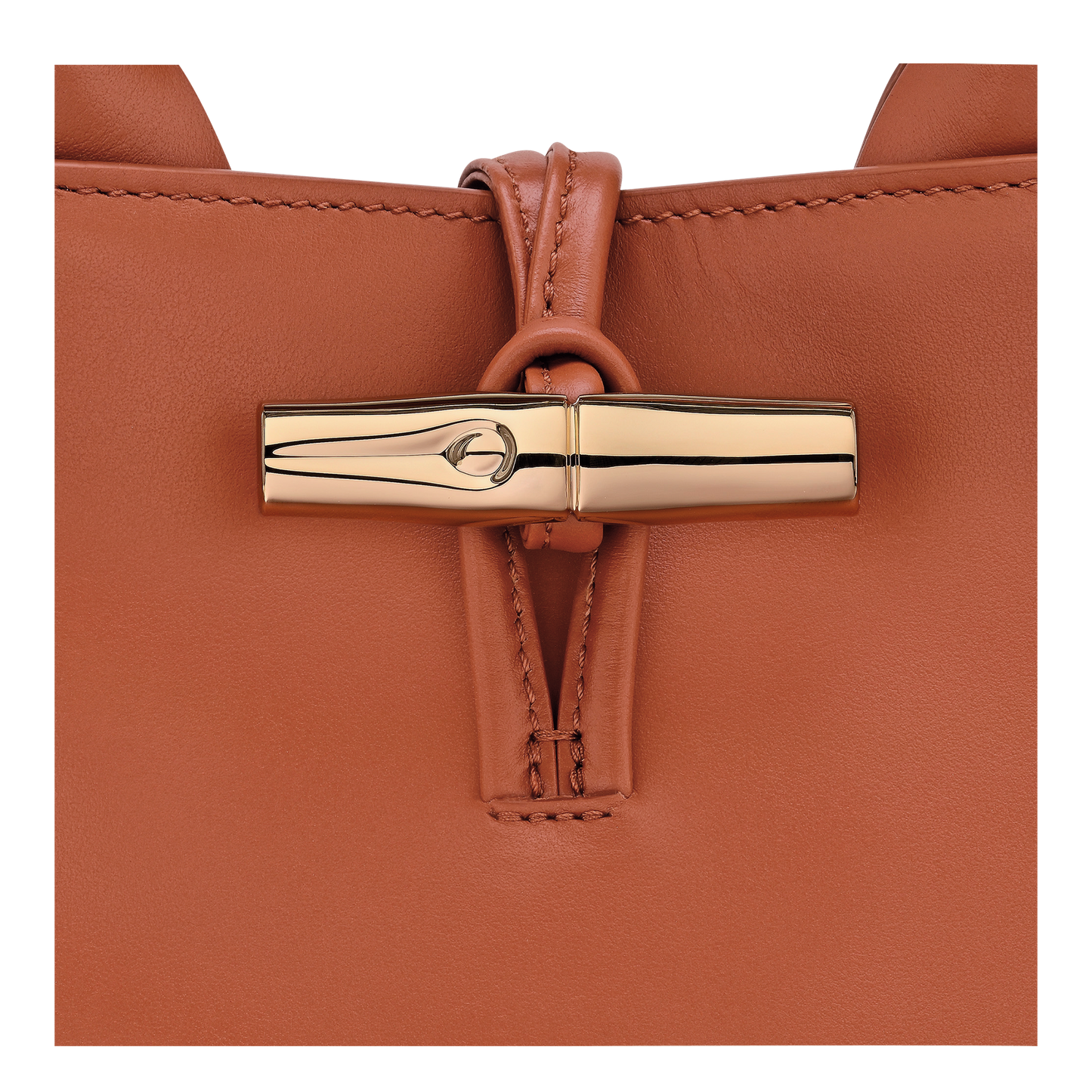 LONGCHAMP-Le Roseau S Handbag-Bark-10273HGCM11-7