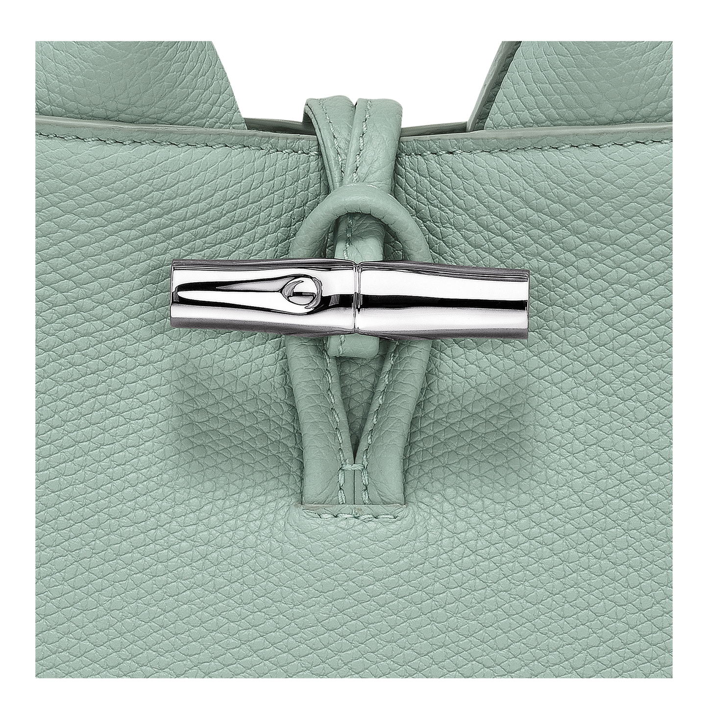 LONGCHAMP-Le Roseau XS Handbag-Celadon-10278HFP282-3