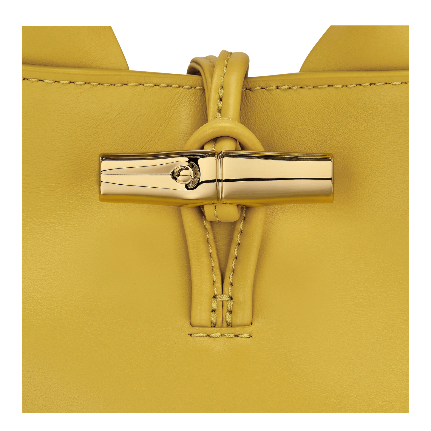 LONGCHAMP-Le Roseau XS Handbag-Ginger-10278HGCM10-6