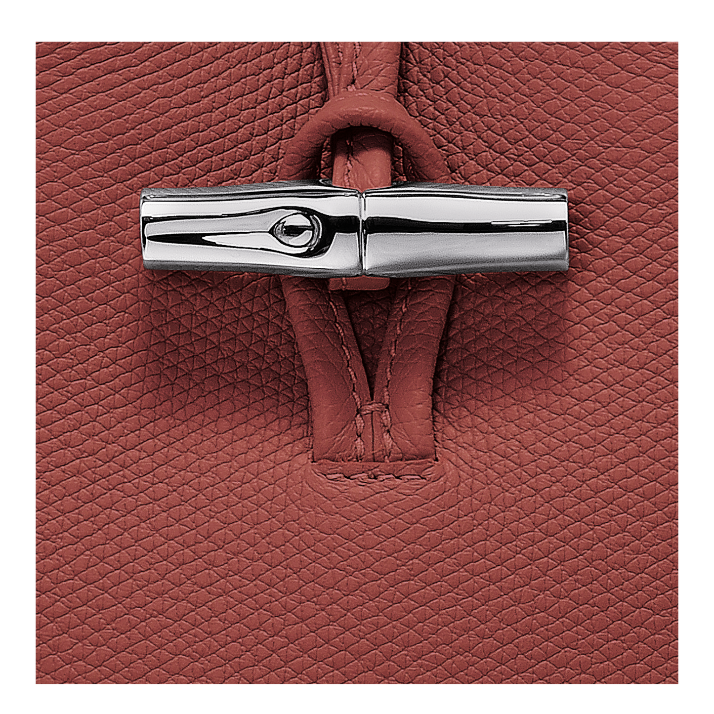 LONGCHAMP-Le Roseau XS Bucket bag-Chestnut-10279HFP404-3