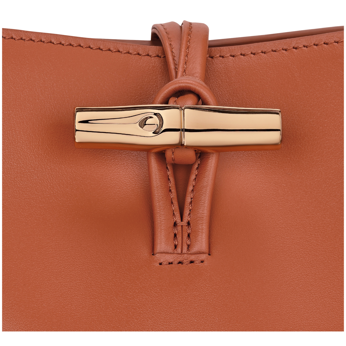 LONGCHAMP-Le Roseau XS Bucket bag-Bark-10279HGCM11-6