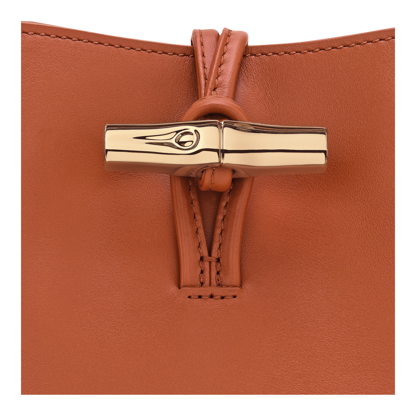 LONGCHAMP-Le Roseau Bucket bag-Bark-10314HGCM11-2