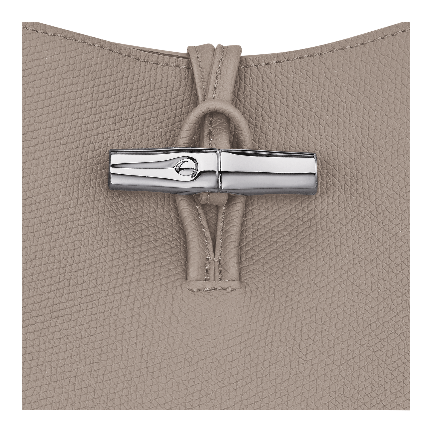 LONGCHAMP-Le Roseau Hobo bag-Clay-10315HFP266-6