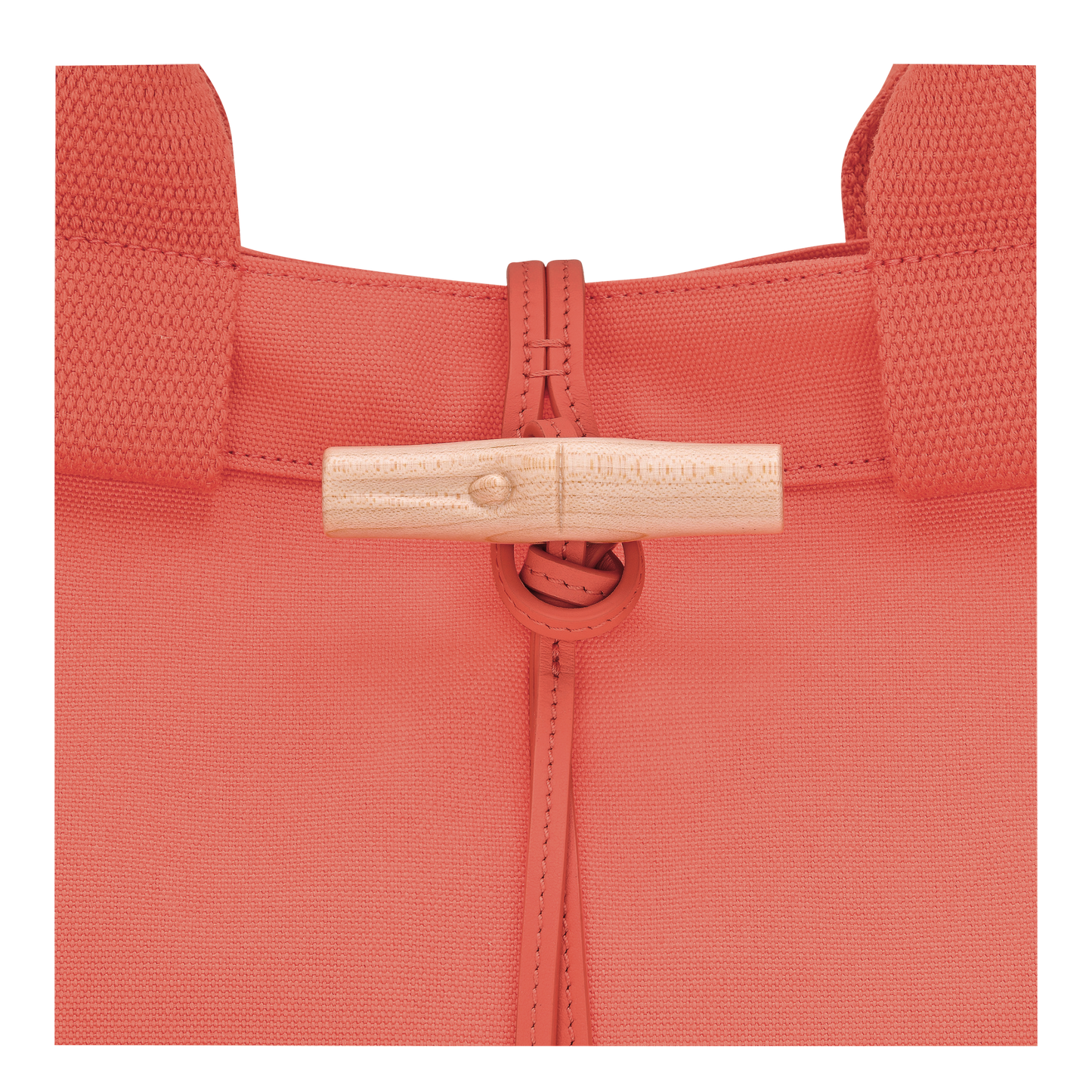 LONGCHAMP-Le Roseau Tote bag-10327HJEL01-6