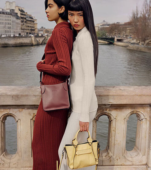 The parisian Longchamp woman ?