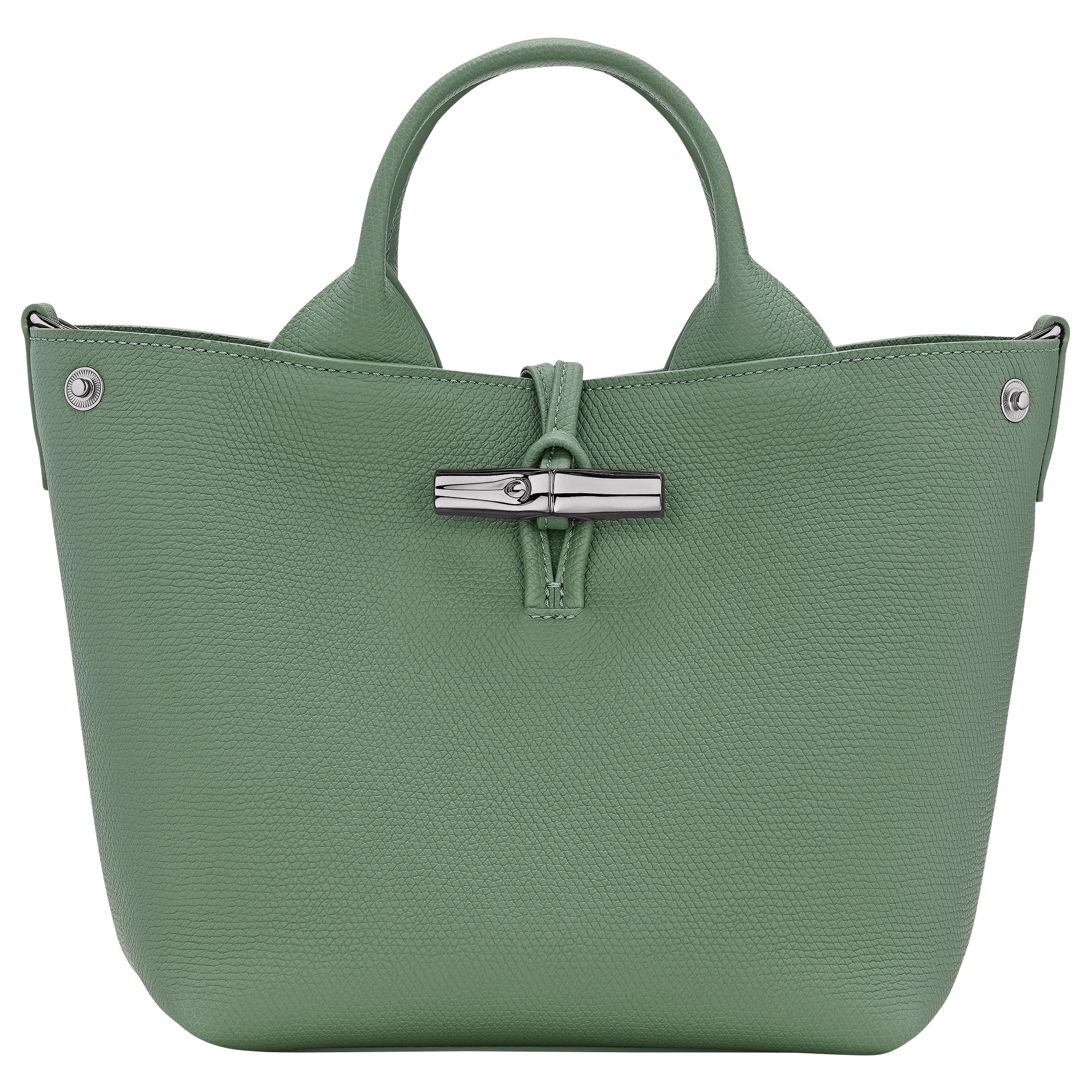 Le Roseau S Handbag Oregano Leather 10273HFPM16 Longhamp ID