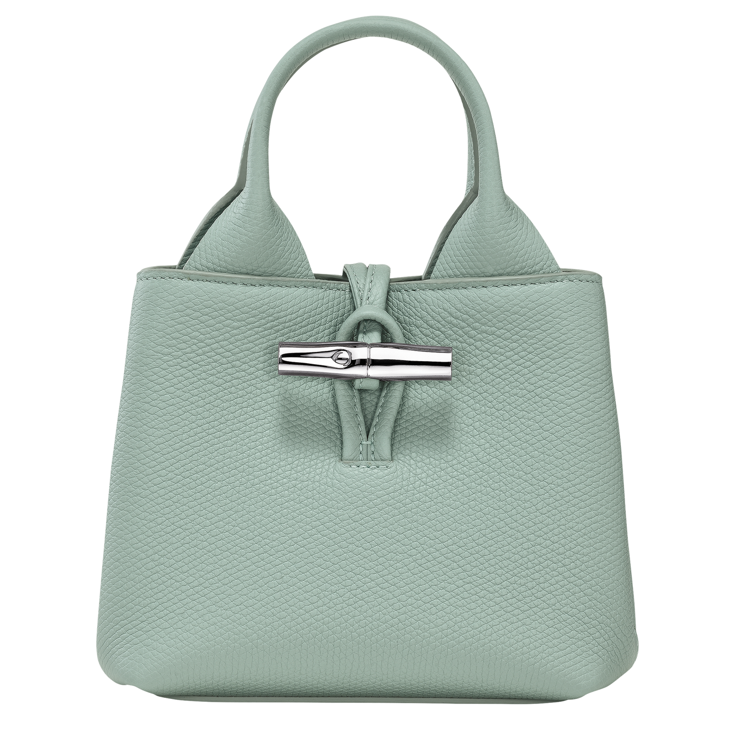 Le Roseau XS Handbag