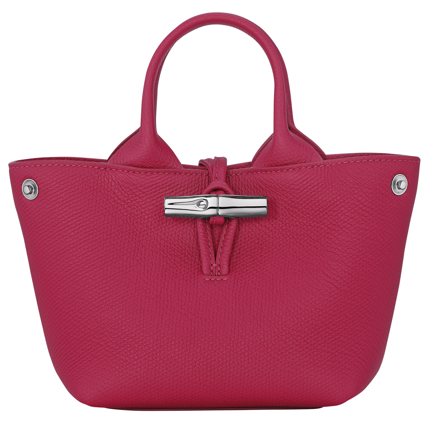 Le Roseau XS Handbag