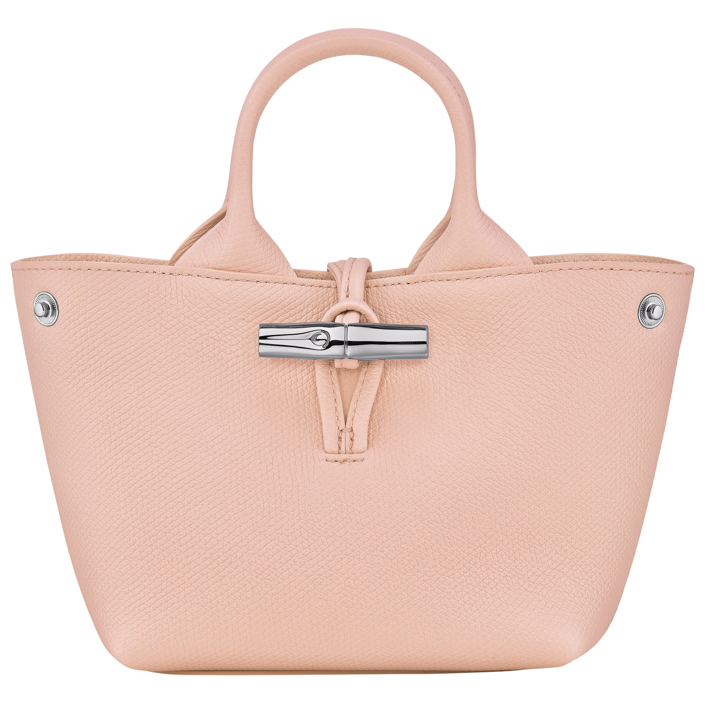 Le Roseau XS Handbag