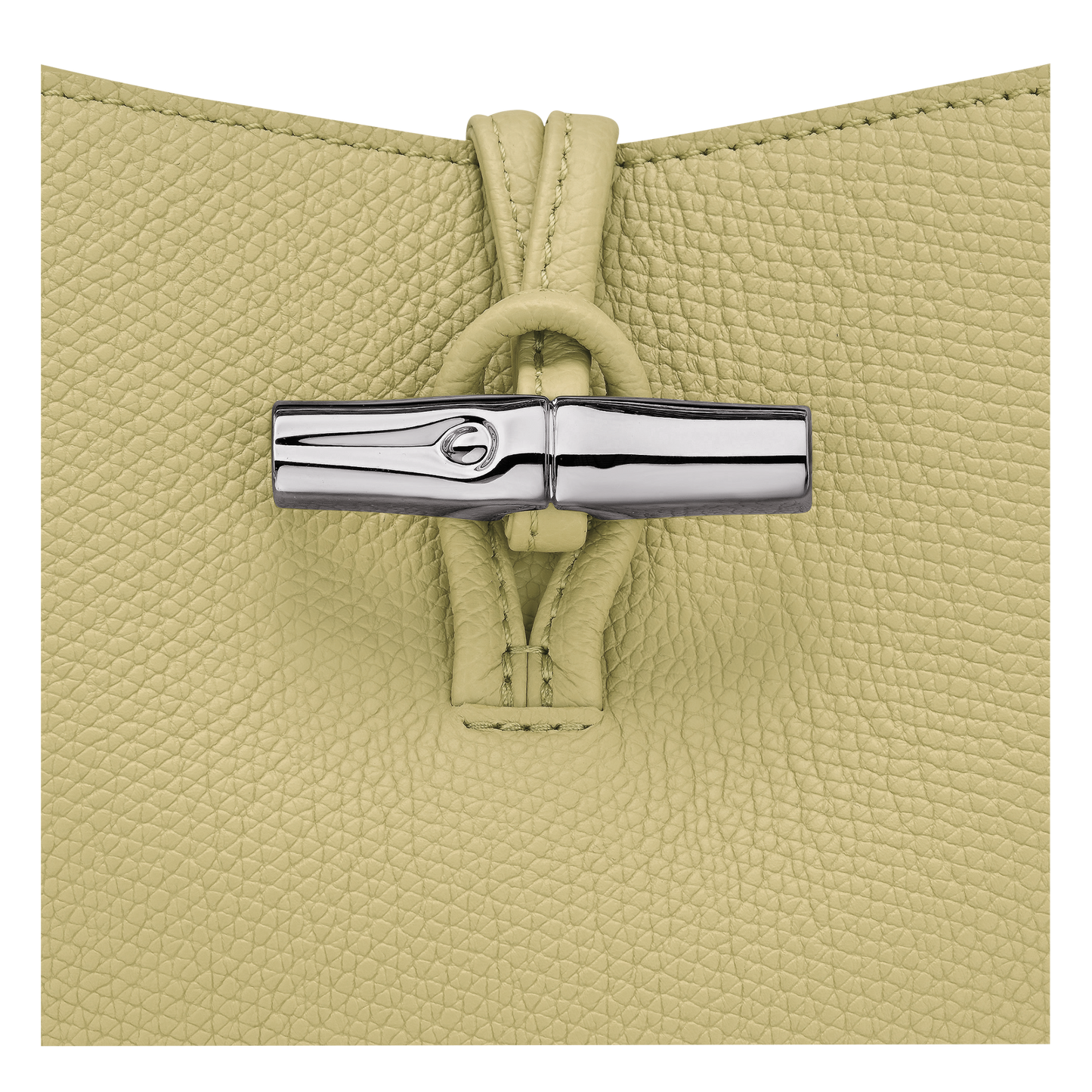 LONGCHAMP-Le Roseau XS Bucket bag-Pistachio-10314HFP244-3