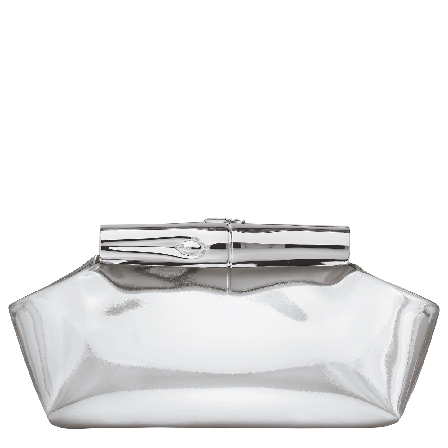 LONGCHAMP-Le Roseau S Pouch-Silver-10391HJY023-1