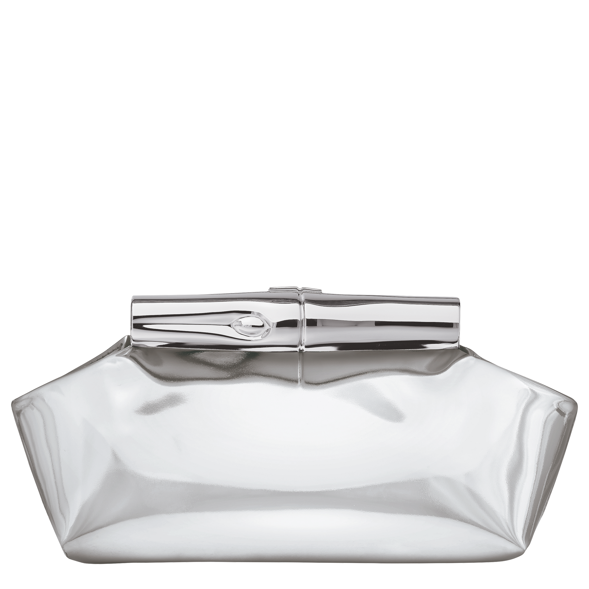 LONGCHAMP-Le Roseau S Pouch-Silver-10391HJY023-1