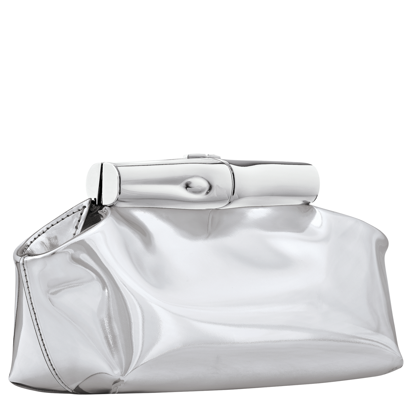 LONGCHAMP-Le Roseau S Pouch-Silver-10391HJY023-2