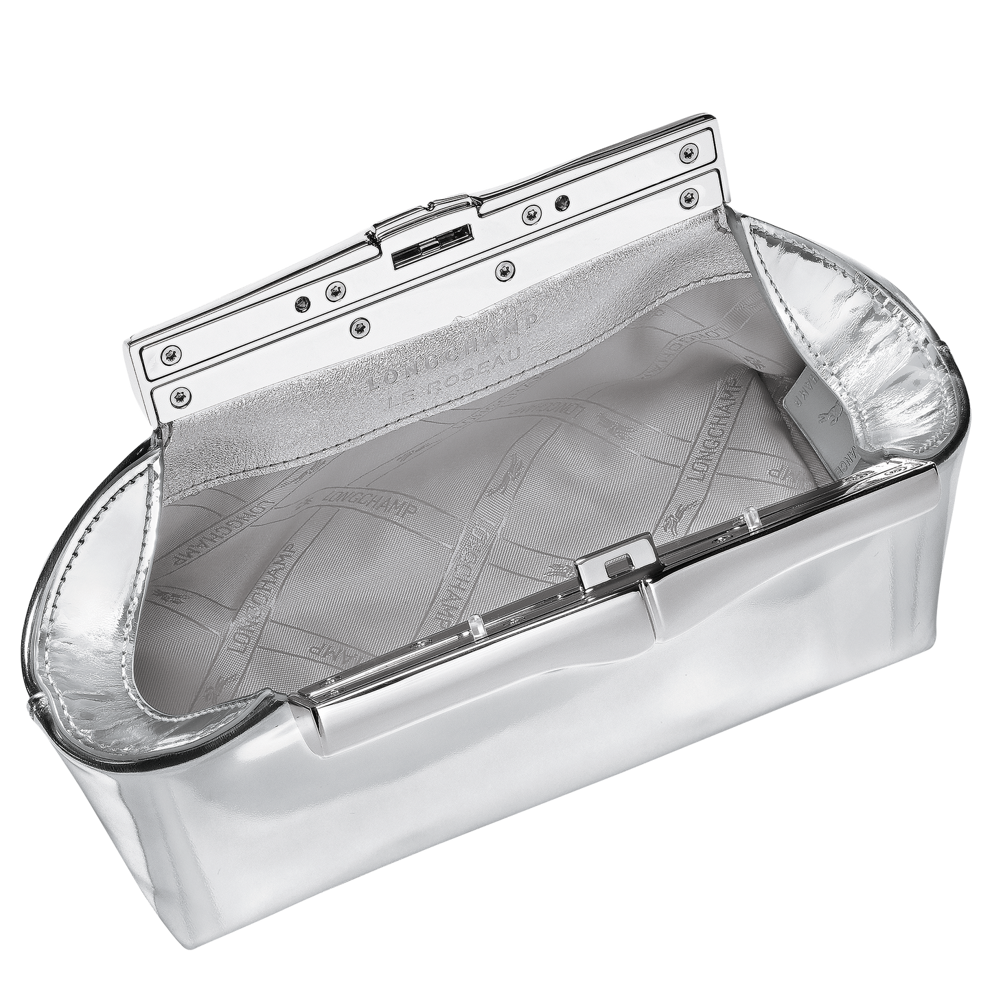 LONGCHAMP-Le Roseau S Pouch-Silver-10391HJY023-4