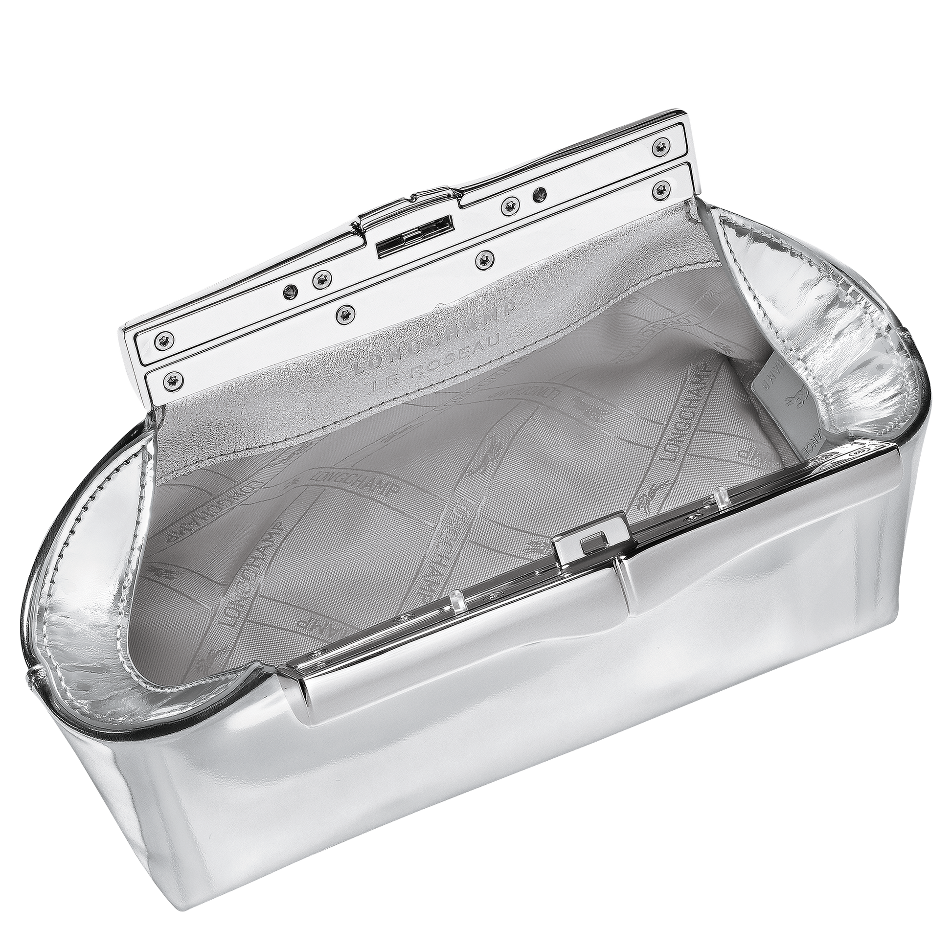 LONGCHAMP-Le Roseau S Pouch-Silver-10391HJY023-4