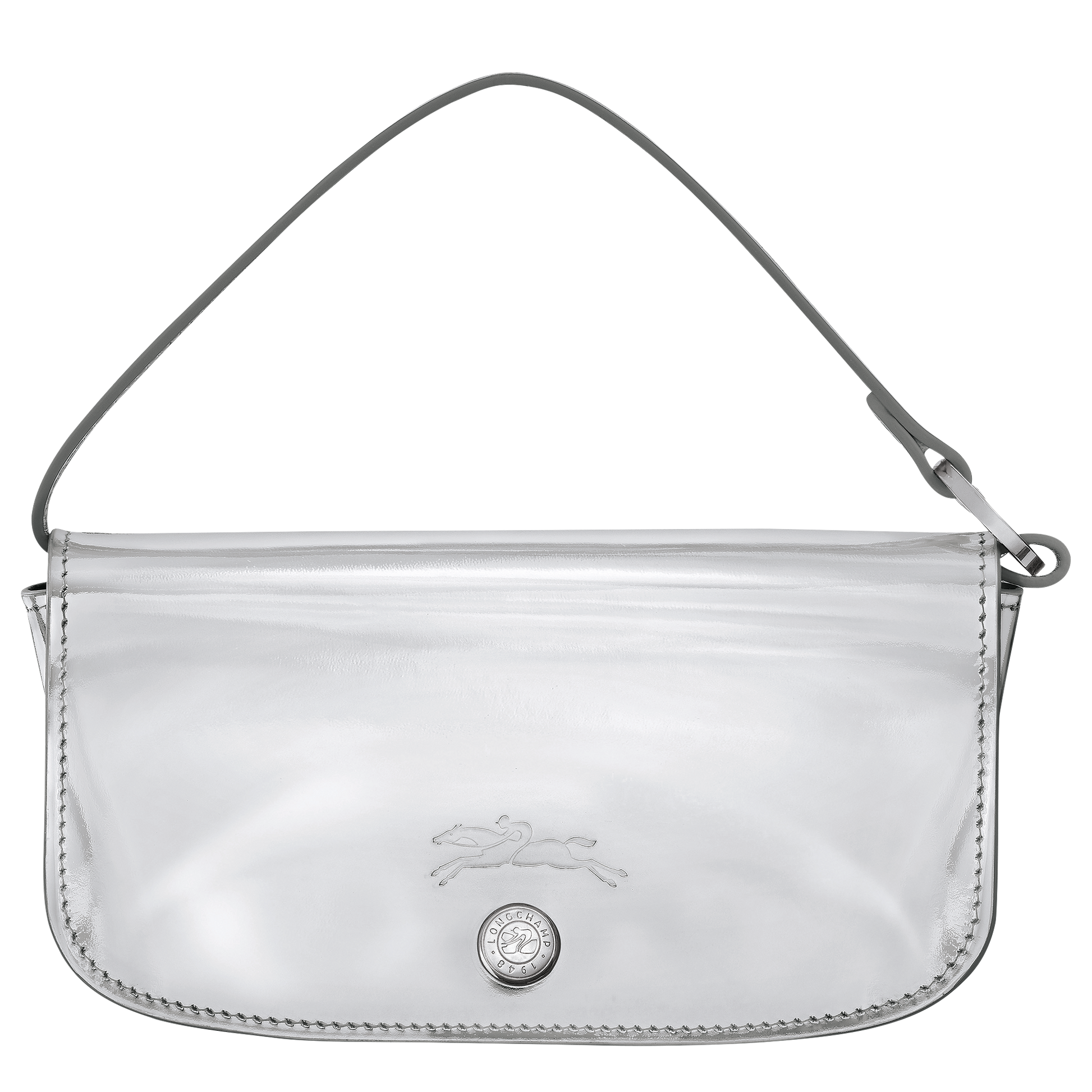LONGCHAMP-Le Roseau Eyewear case-Silver-30062HJY023-1