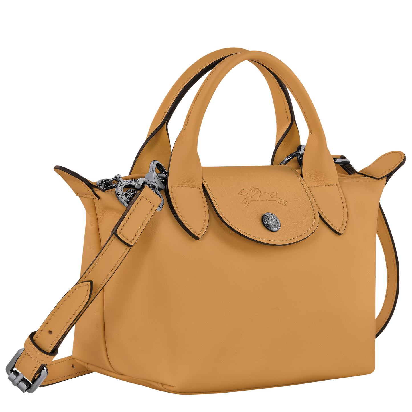 Le Pliage Xtra XS Handbag