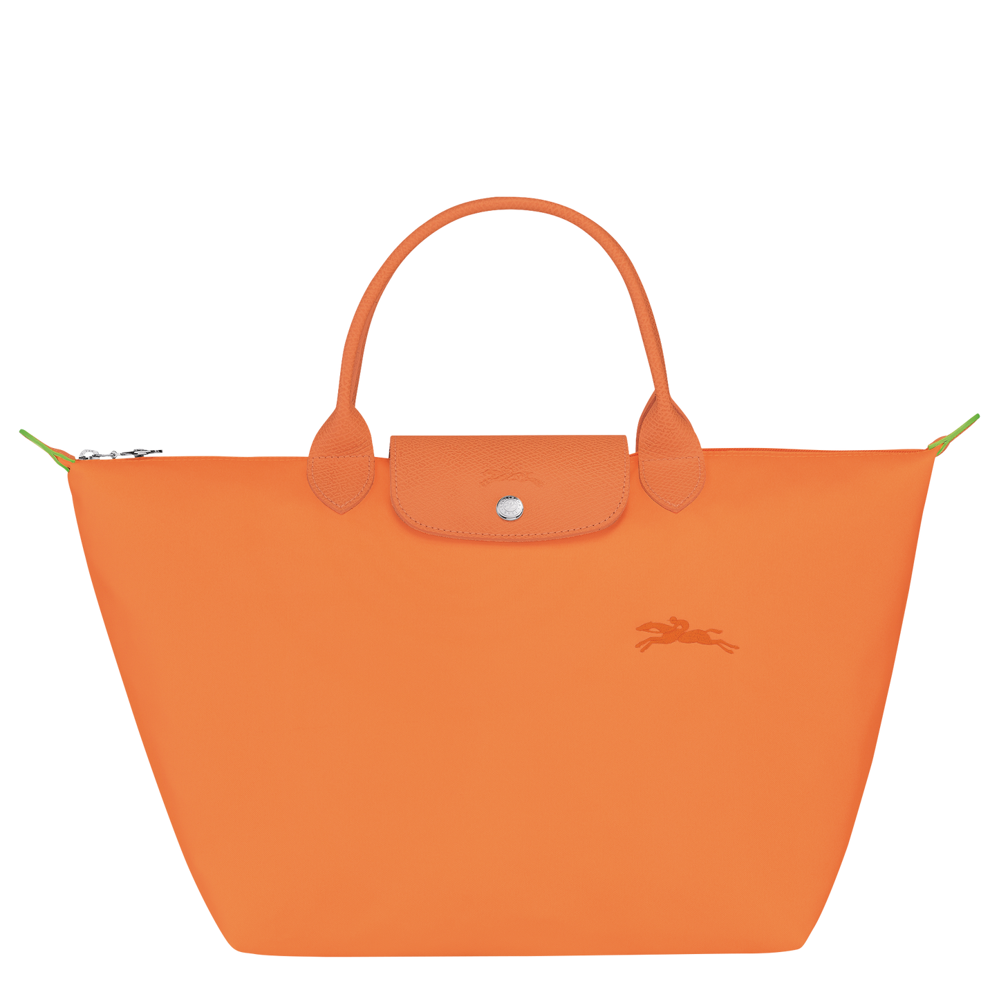 Le Pliage Green M Handbag