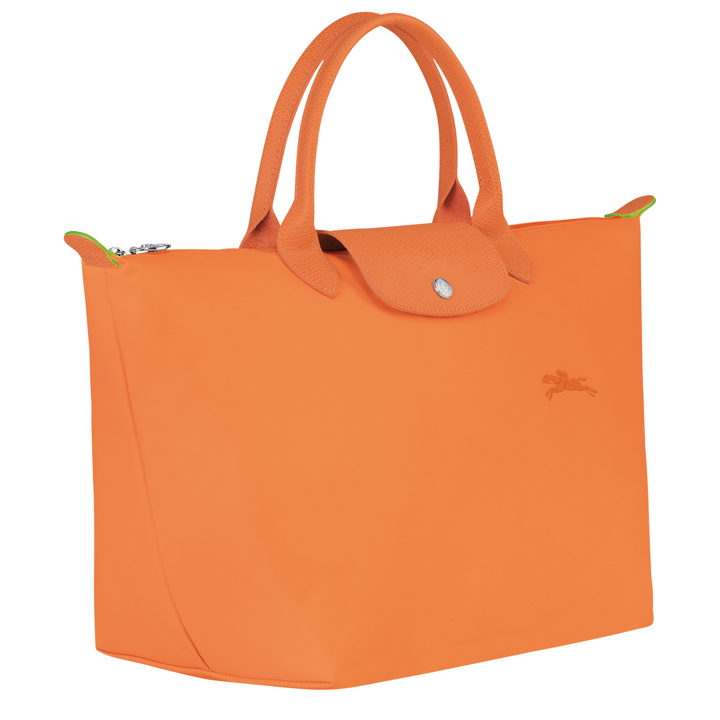 Le Pliage Green M Handbag