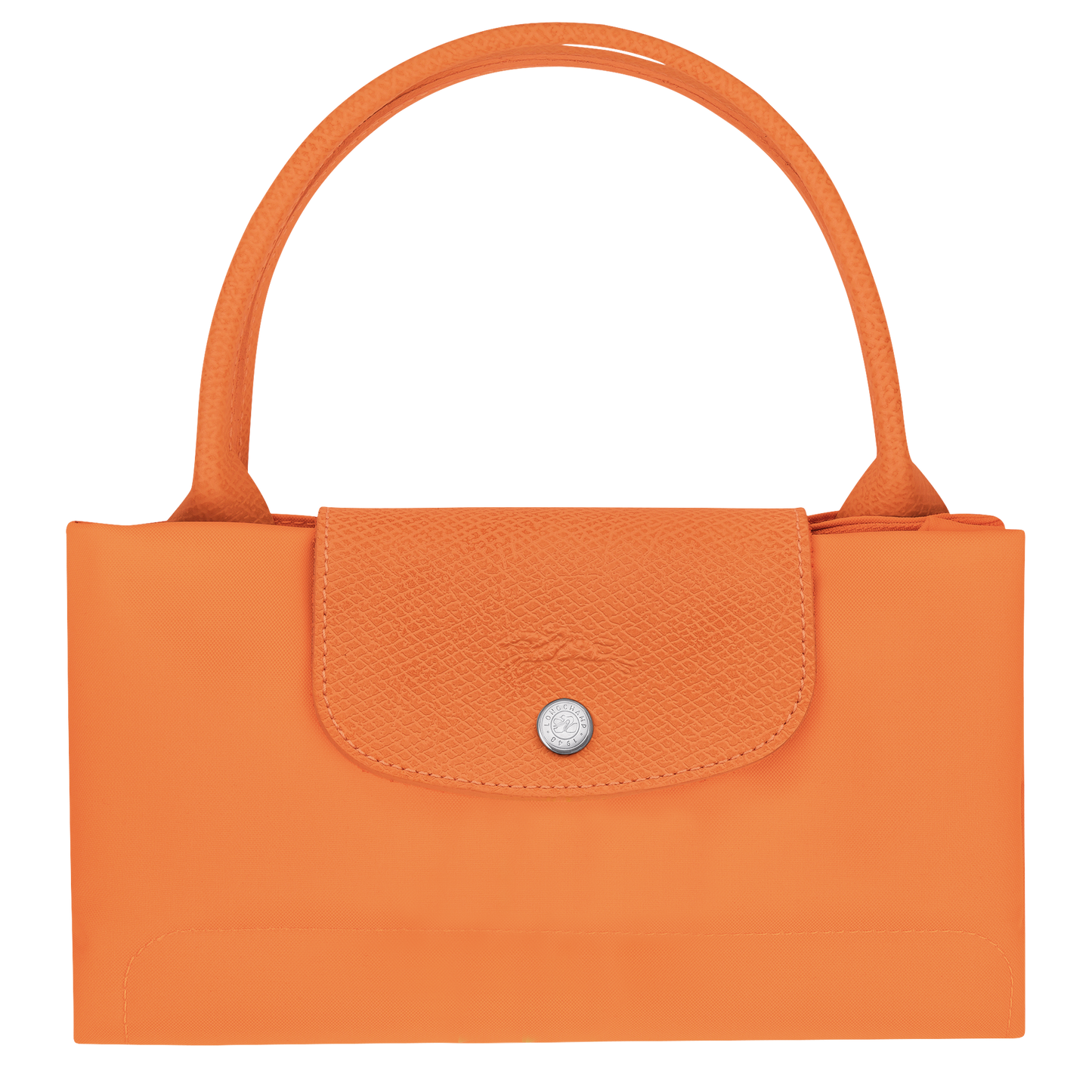 Le Pliage Green M Handbag