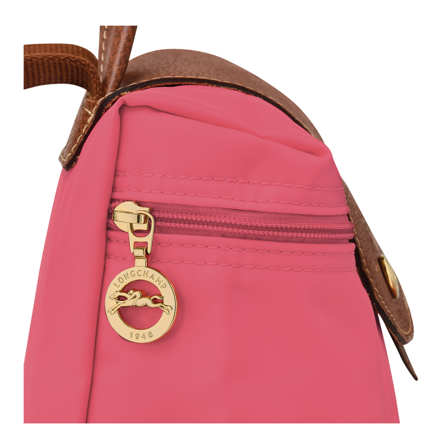 Longchamp backpack fig hot sale